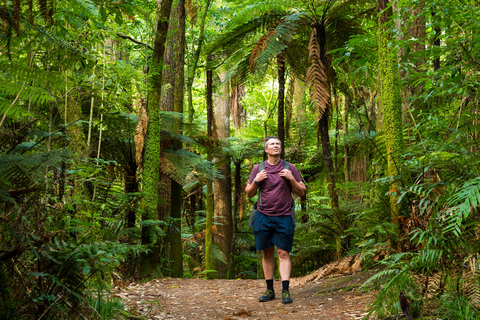 St Kitts: Volcano Hiking and Sightseeing Excursion