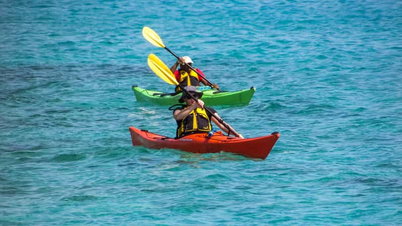 Miami: Sunset Biscayne Bay Aquatic Preserve Kayak Tour | GetYourGuide