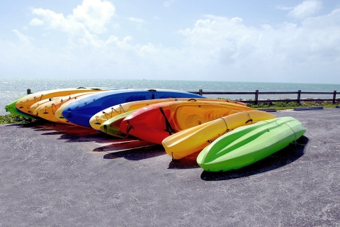 Miami: Wycieczka kajakiem po Biscayne Bay Aquatic Preserve