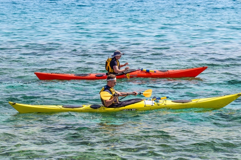 Miami : Visite en kayak de la réserve aquatique de la baie de Biscayne