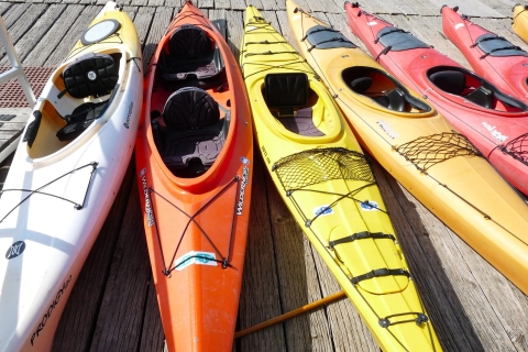 Miami : Visite en kayak de la réserve aquatique de la baie de Biscayne