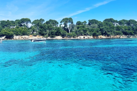 Entdecke Cannes und die Lérins-Inseln mit dem PrivatbootEntdecke die Lérins-Inseln und die Bucht von Cannes auf einer Privatfahrt