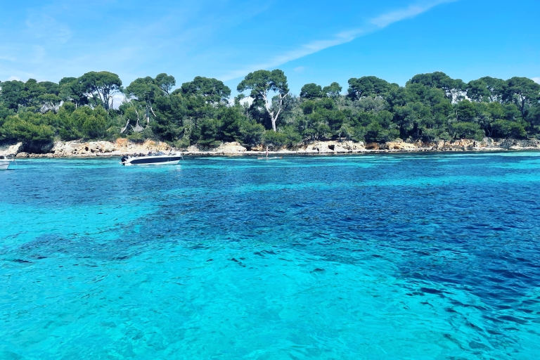Discover Cannes and the Lérins Islands by Private Boat Discover the Lérins Islands and the Bay of Cannes by Private
