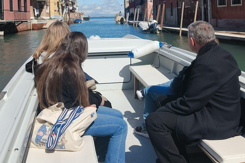 Entdecke die Nördliche Lagune (mit privatem Boot und Skipper)Entdecke die Nördliche Lagune von Venedig (mit privatem Boot)