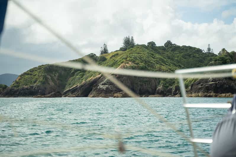 Private Sailing Charter Bay of Islands Up to 19 people GetYourGuide