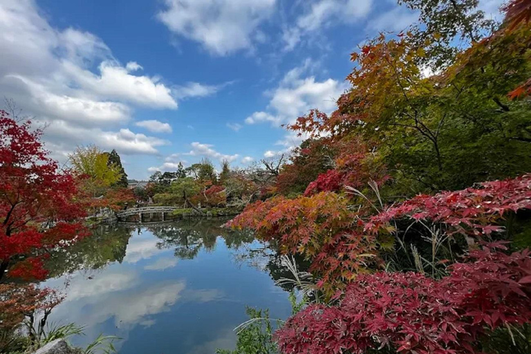 Kyoto : Whispers of Art, Zen &Love Couple’s Journey in Kyoto