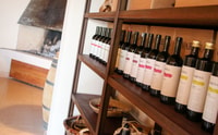 Fumane, olijfolie proeverij op de heuvels van Valpolicella - Housity