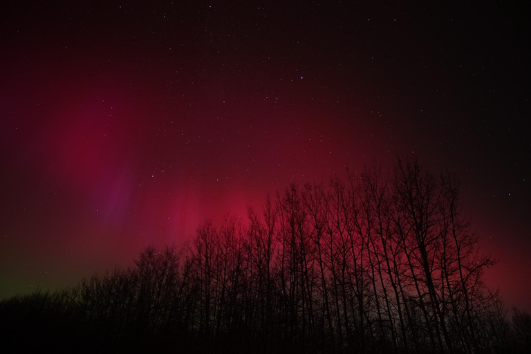 Fairbanks: Aurora Borealis Night Sky Tour & Photography