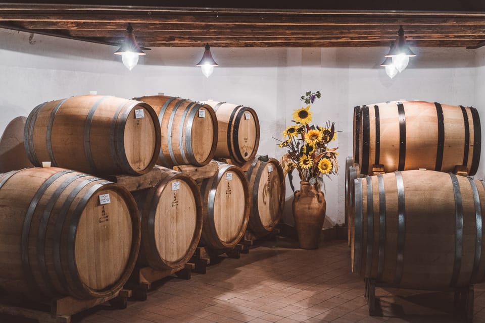 Fumane, Wine Tasting in a family-run winery in Valpolicella - Housity