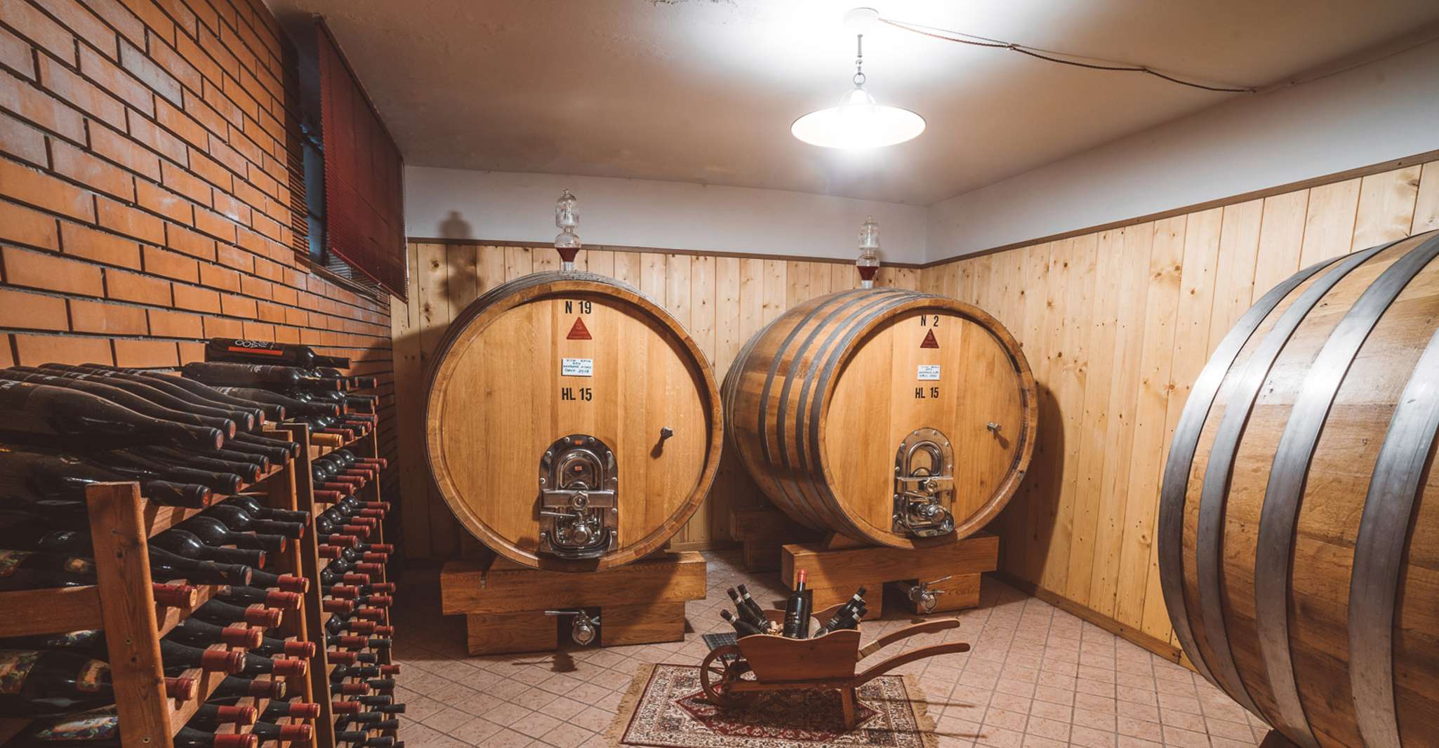 Fumane, Wine Tasting in a family-run winery in Valpolicella - Housity