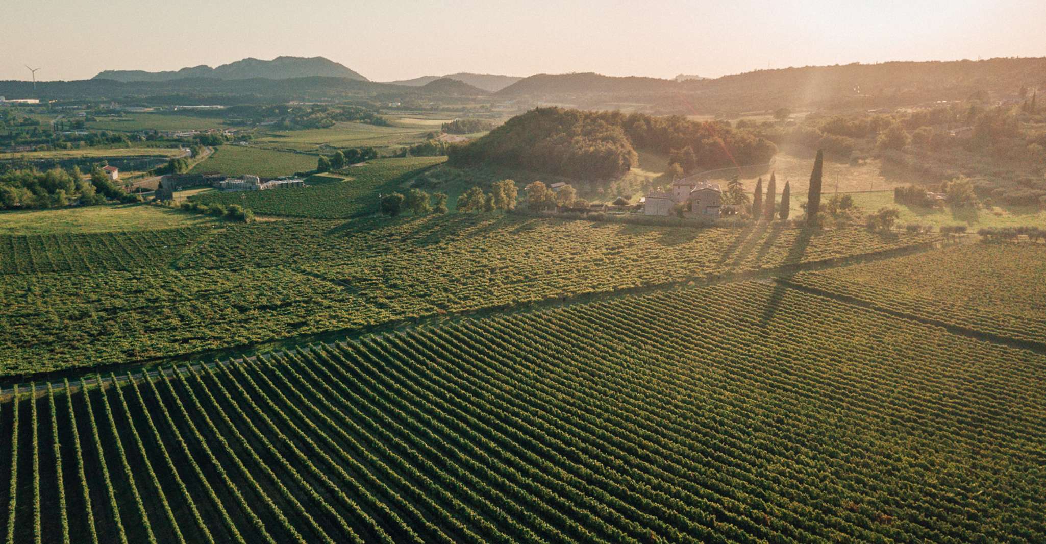 Fumane, Wine Tasting in a family-run winery in Valpolicella - Housity