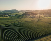 Fumane, degustación de vinos en una bodega familiar en Valpolicella - Housity
