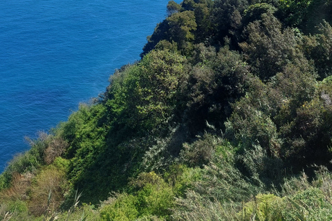 Hele dag 4x4 Pico Do Arieiro en Santana