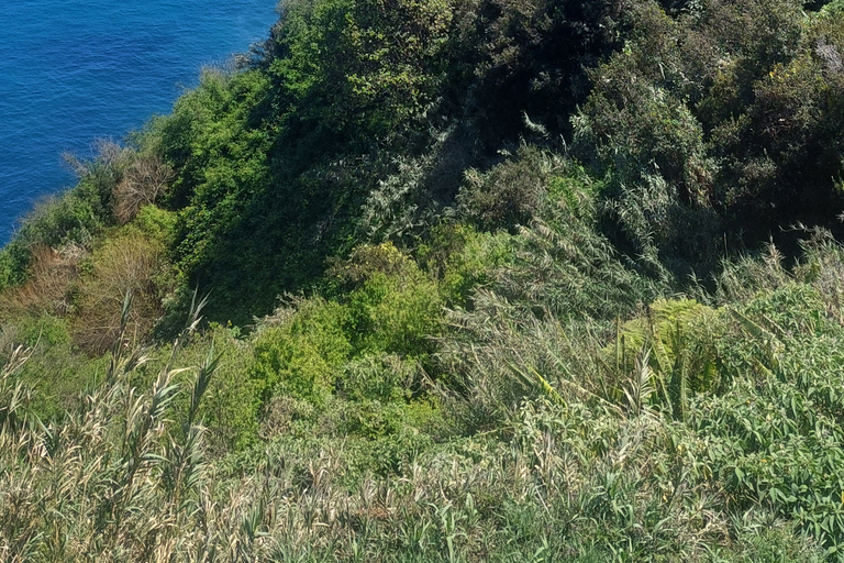 Hele dag 4x4 Pico Do Arieiro en Santana