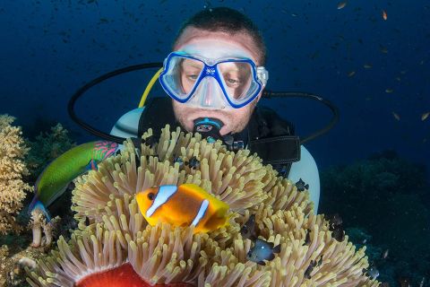 Sharm El Sheikh: Intro-Diving at Ras Mohamed & White Island
