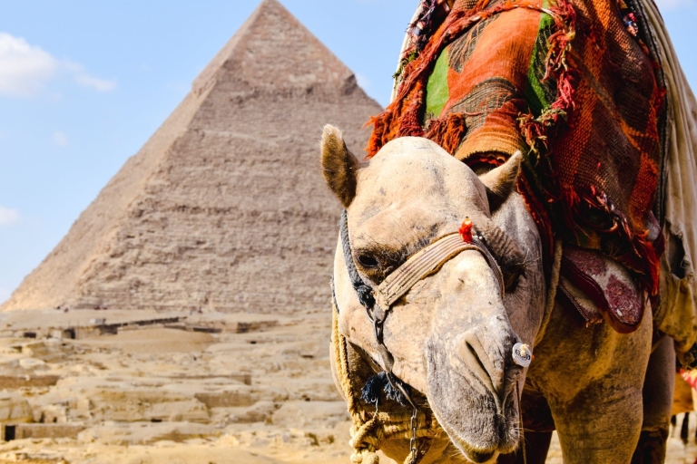 Sharm El Sheikh : Excursion d'une journée sur le plateau de Gizeh et au Musée égyptien