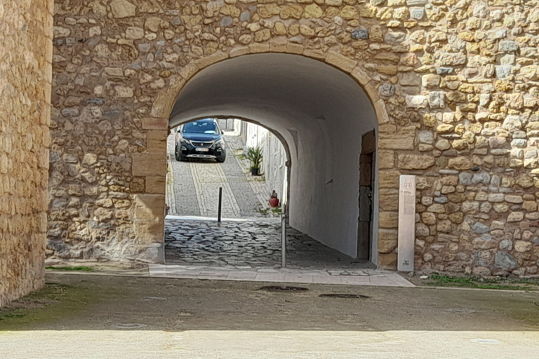 Tour della città di Lagos e escursione in barca a Ponta da Piedade di mezza giornataTour privato di mezza giornata di Lagos e Ponta da Piedade