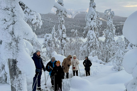 Sneeuwschoenwandelen in Levi