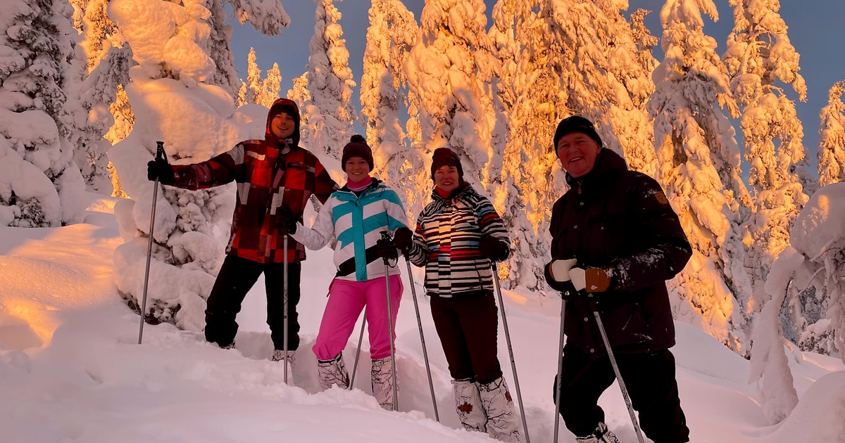 Snowshoeing in Levi GetYourGuide