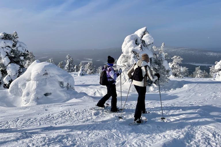 Sneeuwschoenwandelen in Levi