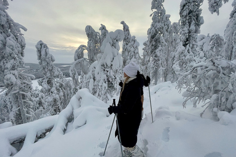 Sneeuwschoenwandelen in Levi