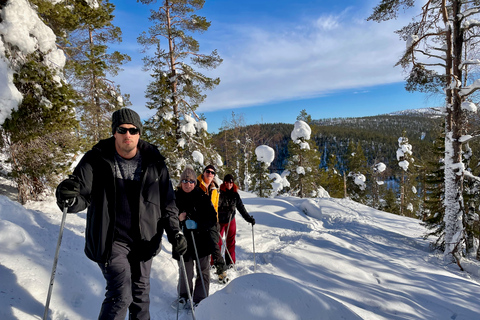 Caminhada com raquetes de neve em LeviRaquetes de neve em Levi