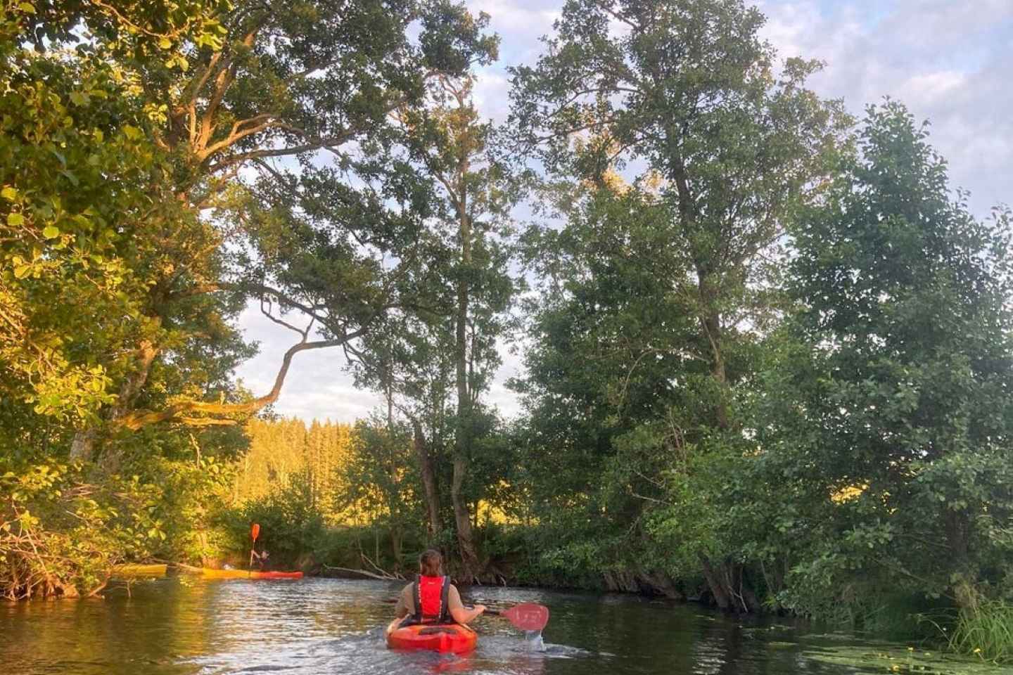 Dals Långed: Steneby River Kayaking Tour