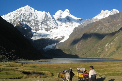 From Huaraz: 8-Day Huayhuash Trek with Guide and Camping