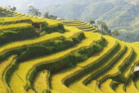 From Hanoi: Ha Giang Guided 3-Day Trip