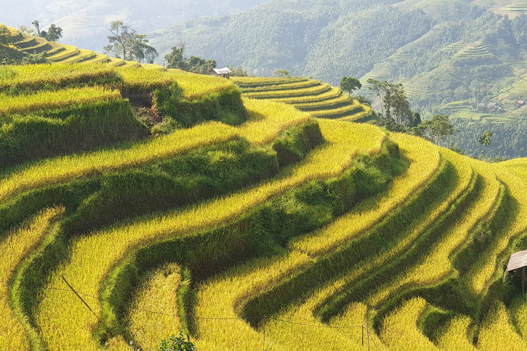 Van Hanoi: Ha Giang begeleide driedaagse trip