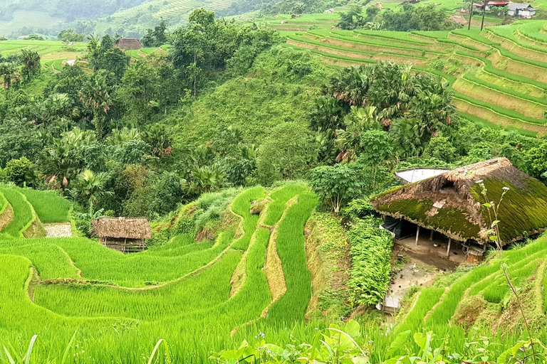 Van Hanoi: Ha Giang begeleide driedaagse trip