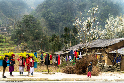 From Hanoi: Ha Giang Guided 3-Day Trip