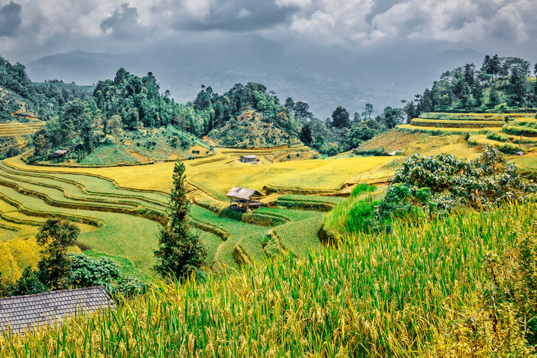 Van Hanoi: Ha Giang begeleide driedaagse trip