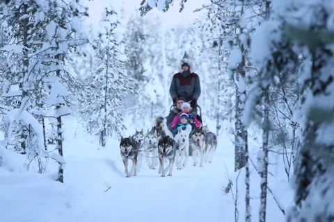 Rovaniemi: Avventura in slitta trainata dagli Husky in autonomia