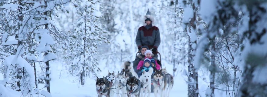 Levi : aventure en traîneau à chiens de 7 km