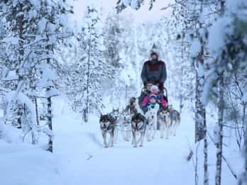 Paseo en trineo de huskies conduciendo tú, 6–10 km