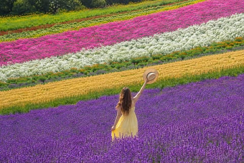 6-Day Hokkaido Nature Tour: Wetlands and Heritage Sites - Image 2