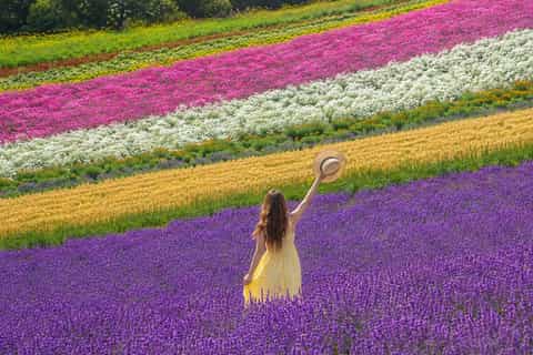 6-Day Hokkaido Nature Tour: Wetlands and Heritage Sites - Image 3