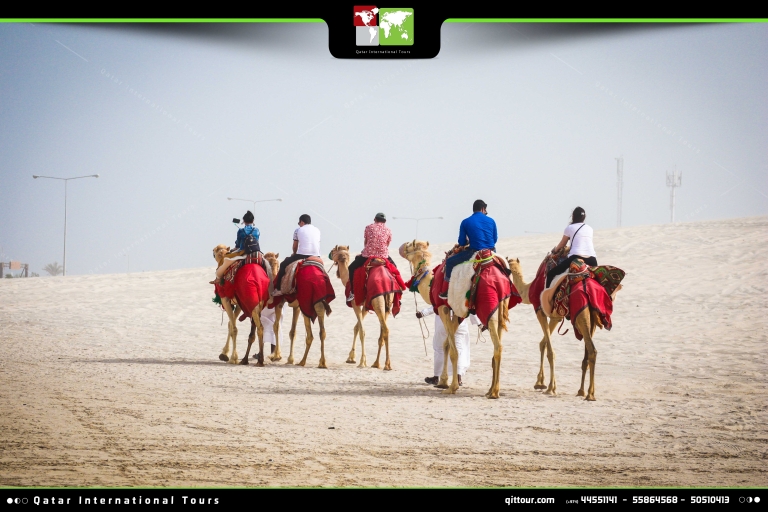 Excursión Privada de Medio Día por el Desierto + Paseo en CamelloExcursión privada de medio día por el desierto + paseo en camello