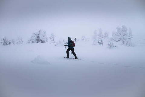 From Rovaniemi: Winter Wonderland Hike with a Hot Drink