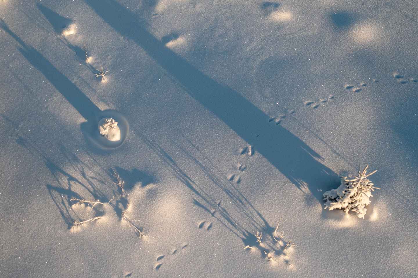 罗瓦涅米冬日仙境徒步，热饮暖心