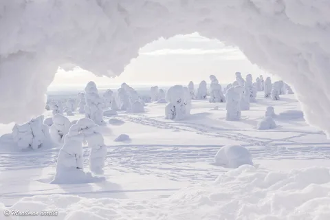 From Rovaniemi: Winter Wonderland Hike with a Hot Drink