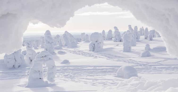 Suède: L'incroyable histoire du miraculé des neiges