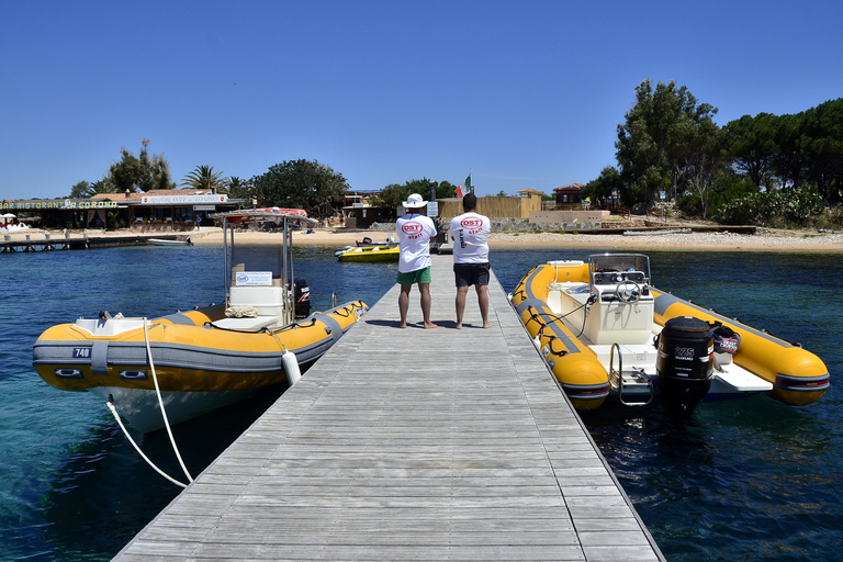 Olbia: Tavolara and Molara Snorkeling Boat Tour