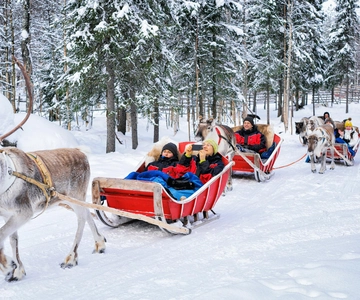 Rovaniemi: Reindeer Sleigh Ride with Hot Drink and Cookies