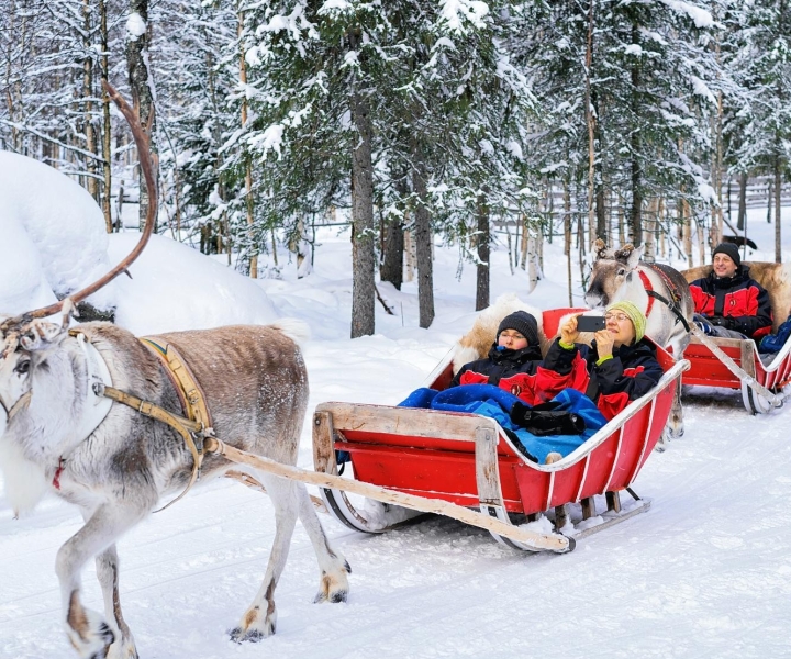 Rovaniemi: Rensdyrslædetur med varme drikke og småkager