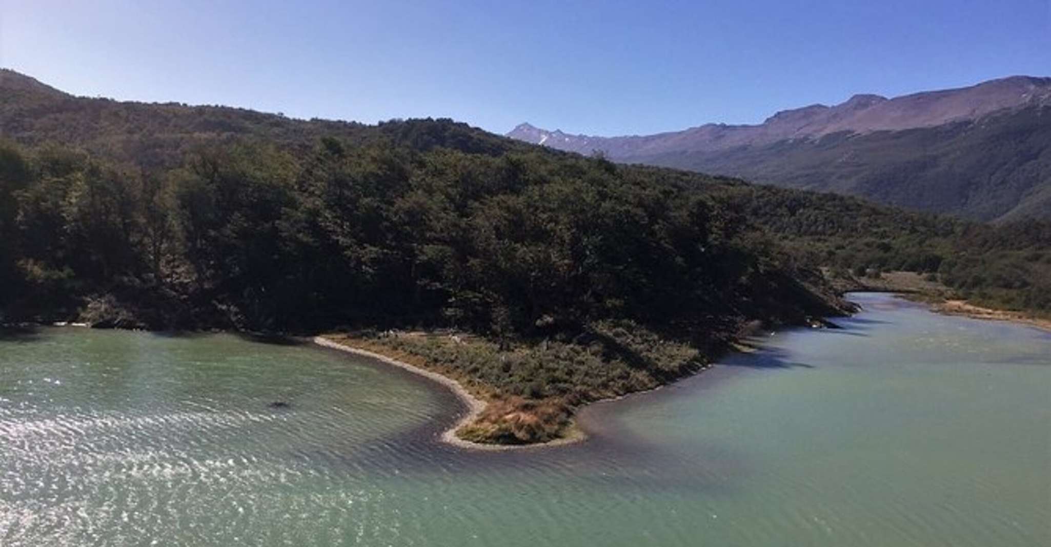 Expérience privée Parc National "Tierra del Fuego" - Hizvo
