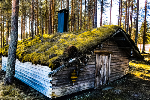 Rovaniemi: letnia farma reniferów