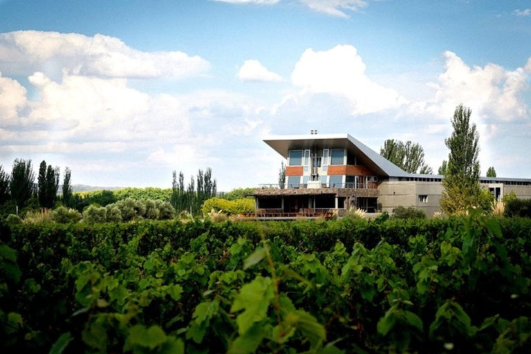 Semi Private Day Trip Mendoza Winery - Airfare from Bs. As.