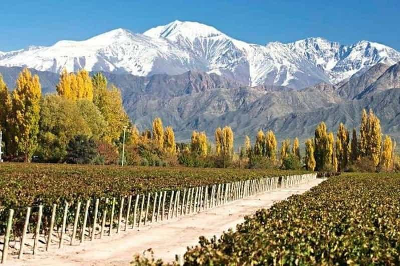 Buenos Aires : Excursion D'une Journée Dans Les Vignobles De Mendoza ...